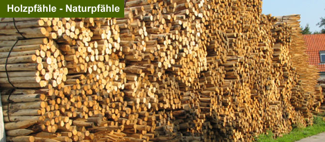 Natur pro Kastanie Shop