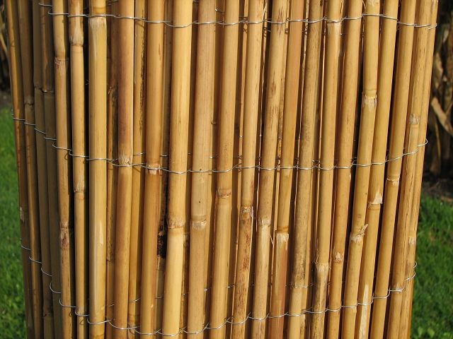 Sichtschutz Aus Glas Hornbach Sichtschutzzaun garten sichtschutz Sichtschutzzaun Holz Hornbach ~ Sichtschutz Aus Glas Hornbach Sichtschutzzaun garten sichtschutz