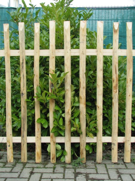 lattenzaun kastanienholz 150 cm
