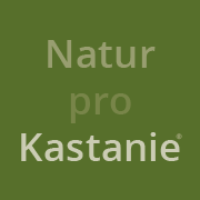 Natur-pro-Kastanie