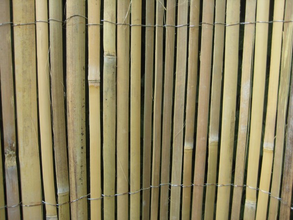 Bambusmatte 1,8 m / 2 m / 5 m lang Sichtschutz