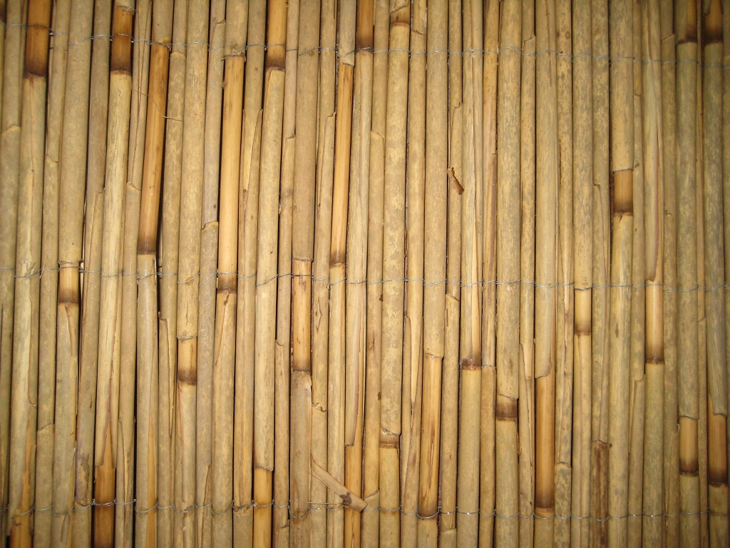 Schilfrohrmatten 140x600 Gunstig Kaufen Sichtschutz Natur Pro Schilfrohrmatten 140x600 Gunstig Kaufen Sichtschutz Natur Pro