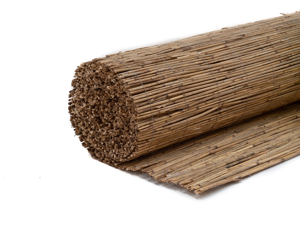 Schilfrohrmatten 100x600 günstig kaufen Sichtschutz Naturpro