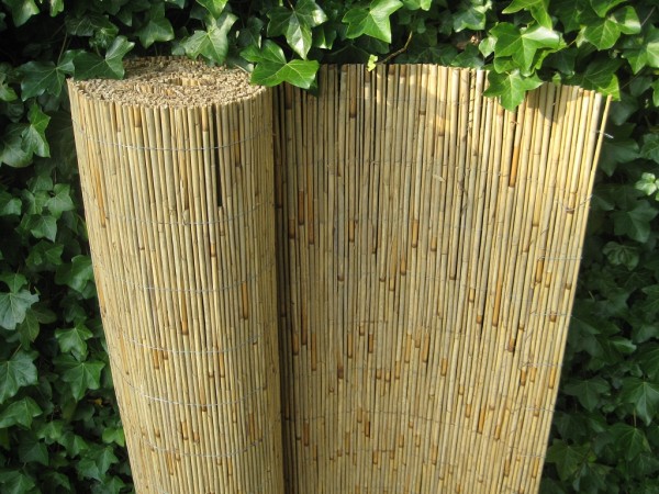 Sichtschutzmatte Schilfrohr Schilfrohrmatte Weidenmatte Länge 500cm Höhe 180cm