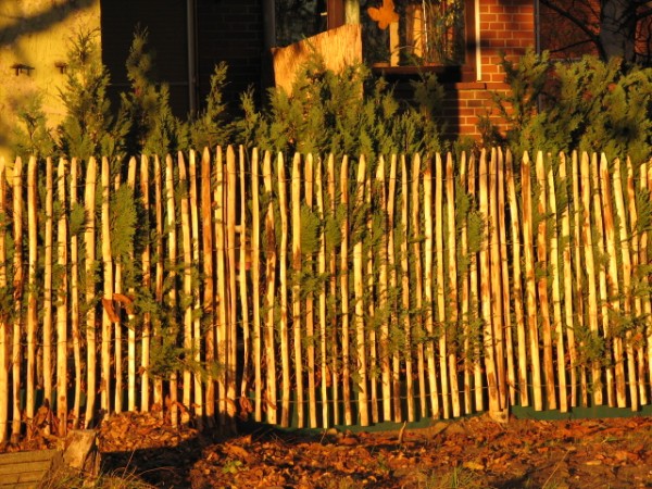 Staketenzaun Kastanie 1 Cm Hoch Und 5 M Lang Mit Za 8 10 Cm Natur Pro Kastanie