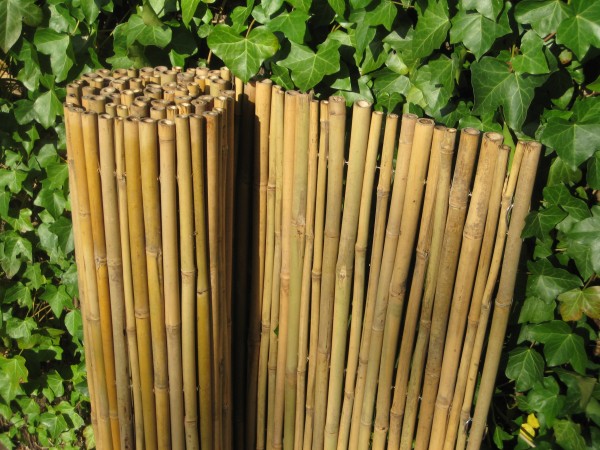 Bambusmatte -rohr hell 200 cm hoch x 180 cm lang Sichtschutz