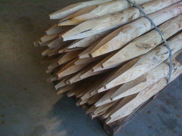 günstige Pfähle aus Kastanienholz NaturproKastanie®