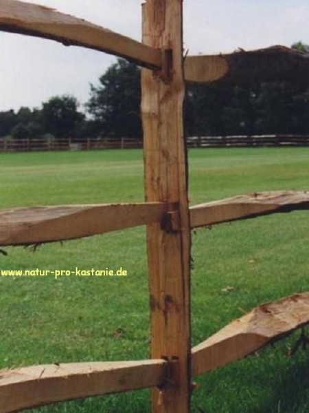 Eckpfahl für Pferdezaun - System 2 - Koppelzaun Post & Rail
