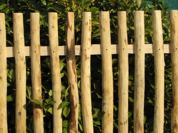 Lattenzaun 100 cm H 180 cm L ZA 6/8 cm Naturzaun aus