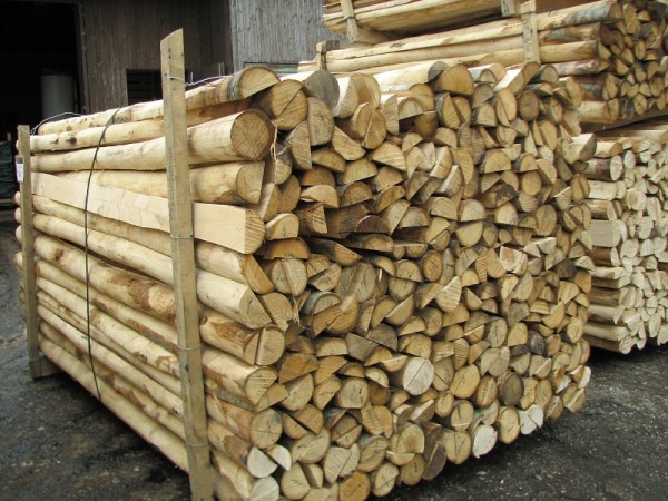Zaunlatte Kastanie 300 cm lang halbrund NaturproKastanie®