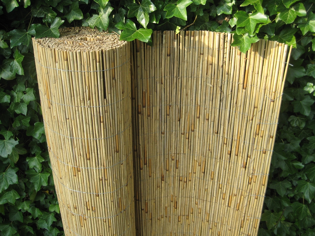 Schilfrohrmatten Baumschutz Matte Sichtschutz aus Schilfrohr 2x6 m 200 x 600 cm 
